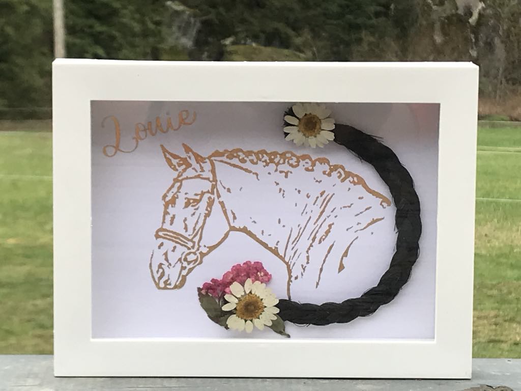 Equine Memorial Shadow Box 5"x7" - Custom line drawing