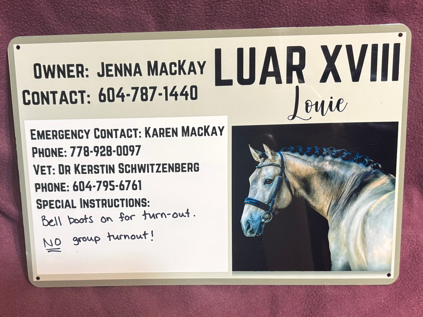 Custom Personalized Horse Stall Sign