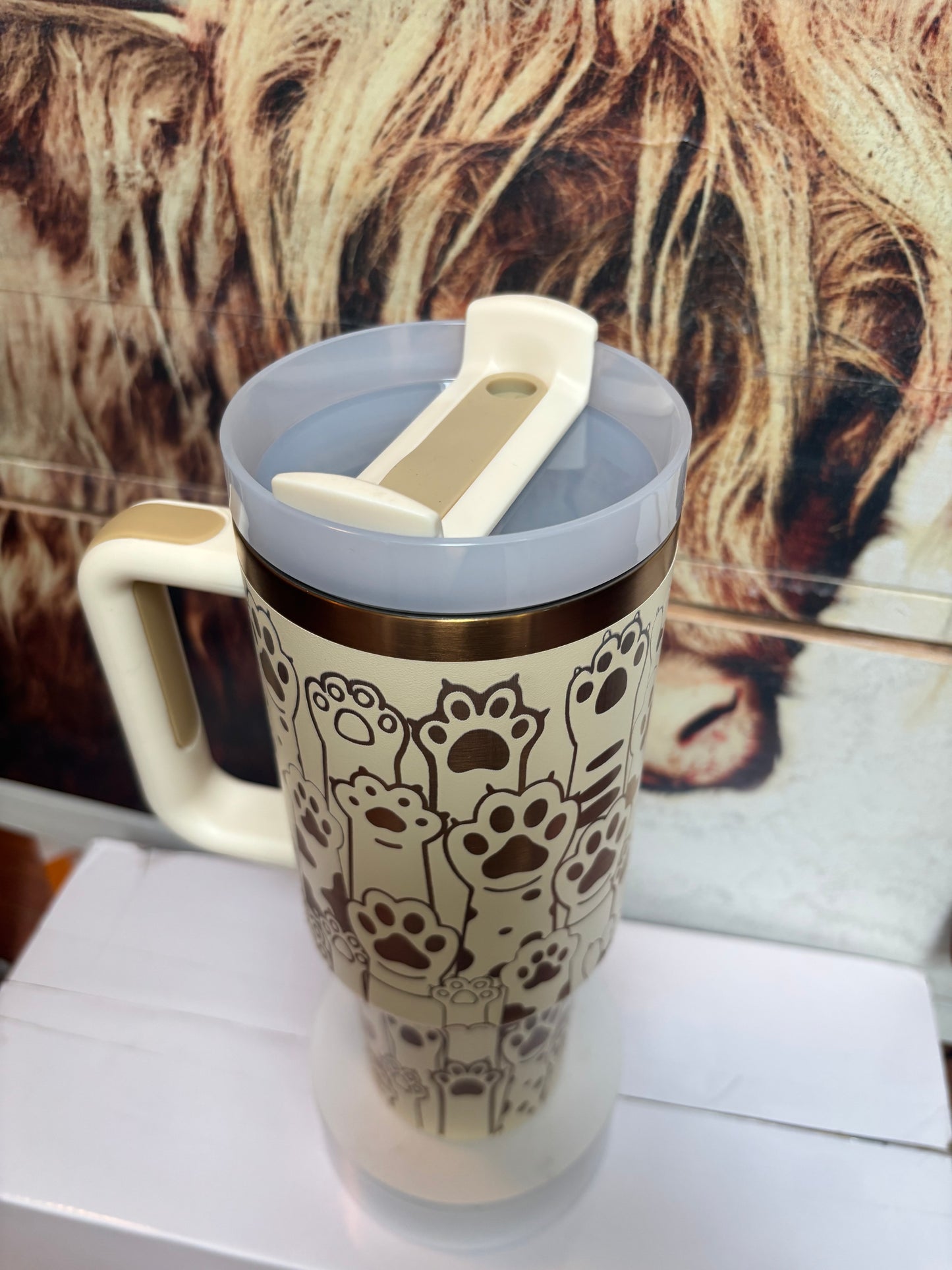Cat Paws- 40oz laser engraved Tumbler