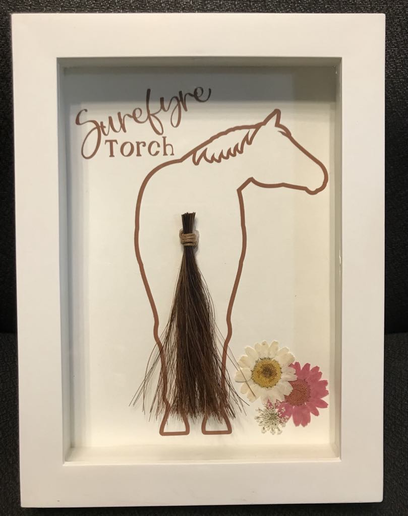 Equine Memorial Shadow Box 5"x7"