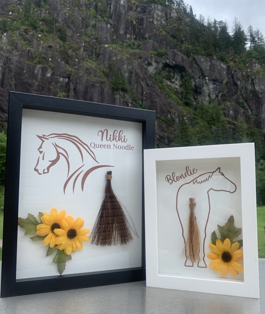 Equine Memorial Shadow Box
